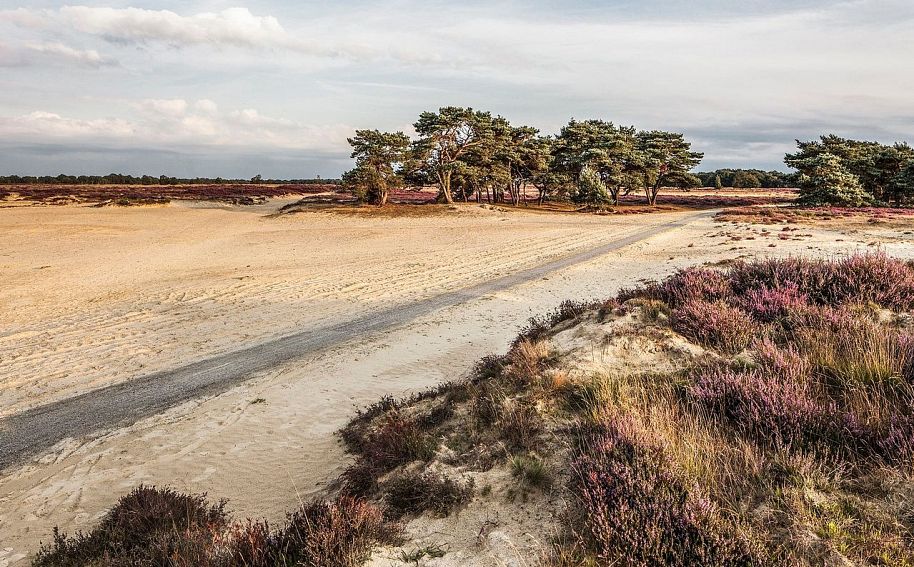 Balloërveld na realisatie