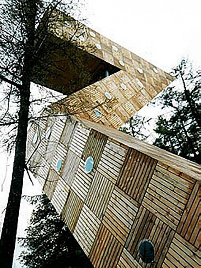 Uitkijktoren Fochteloerveen