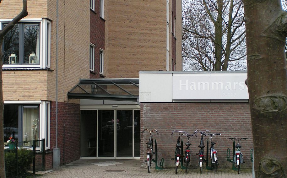 Renovatie Hammarskjöld