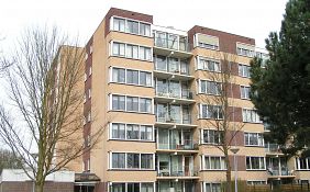 Renovatie Lutuli
