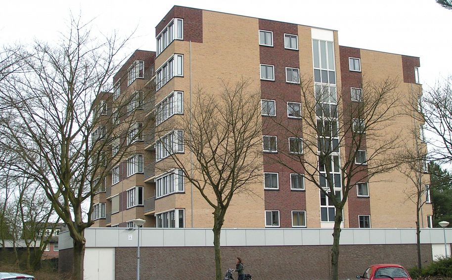 Renovatie Lutuli