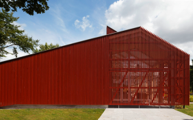 Proyecto Roble