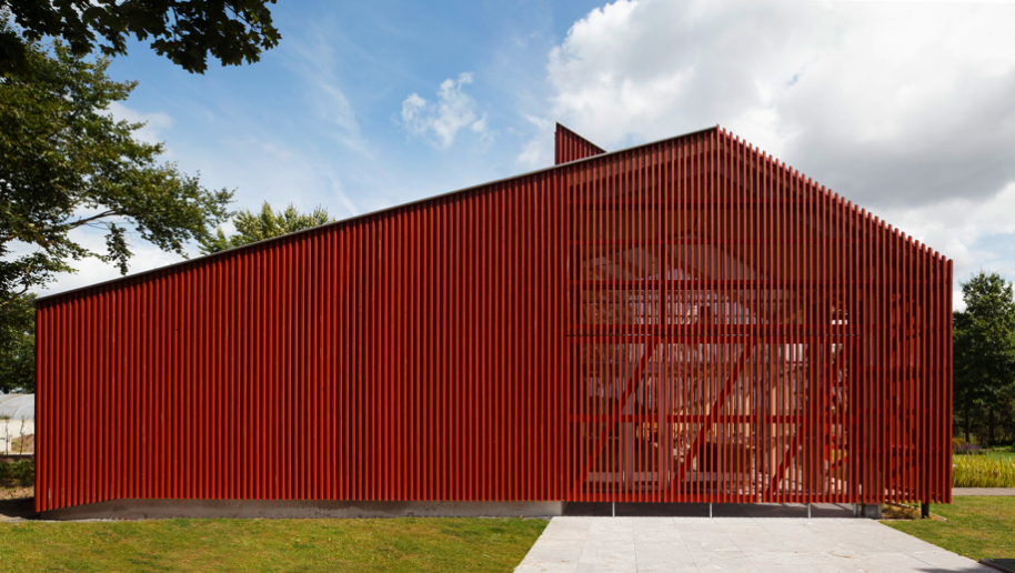 Proyecto Roble