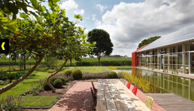 Proyecto Roble