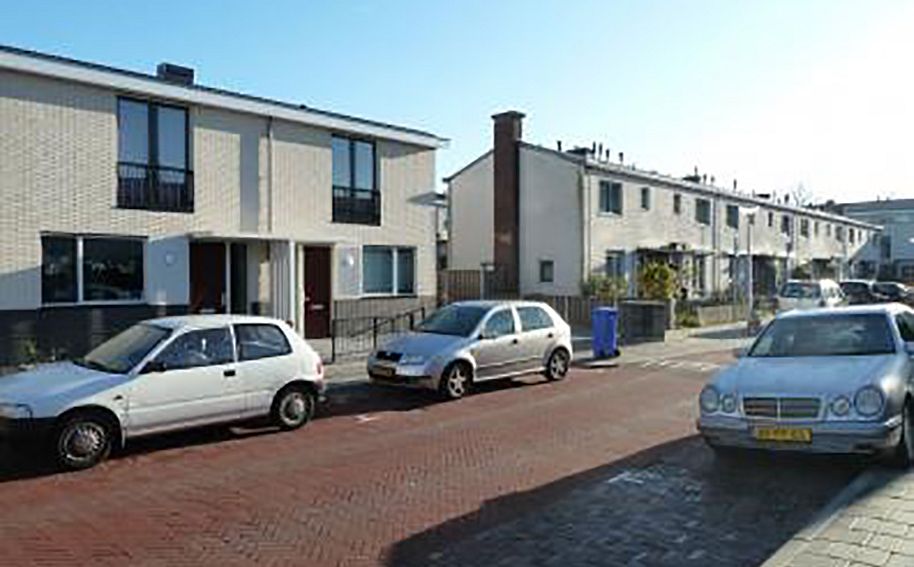 Bomenwijk Delft. Deelplan Elzenbloesem