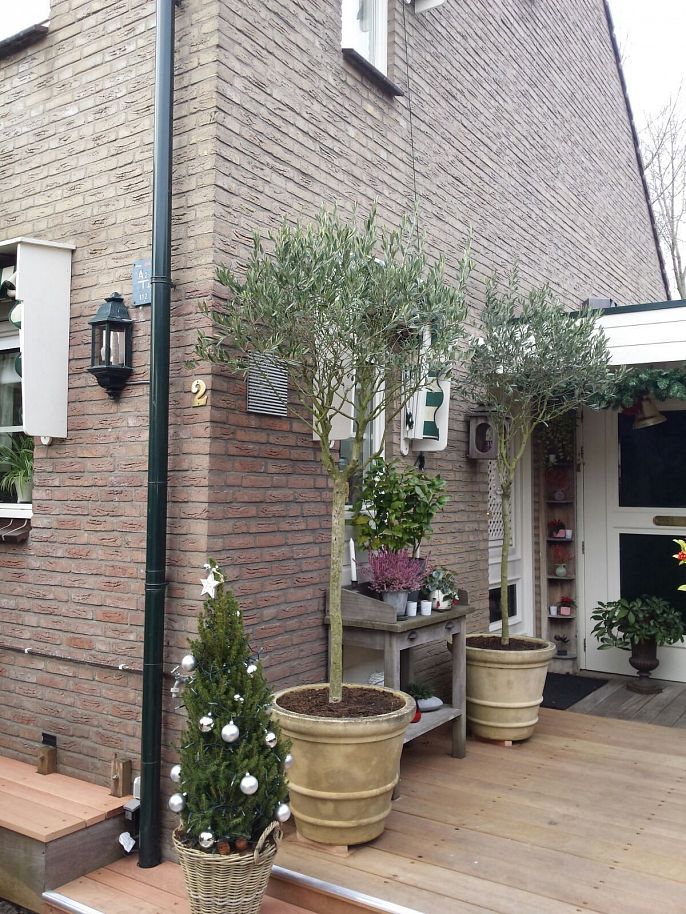 Woudhoek-Noord, 89 eengezinswoningen