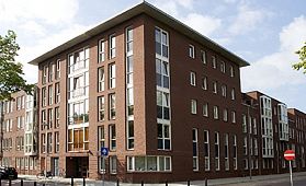 Bergsingel