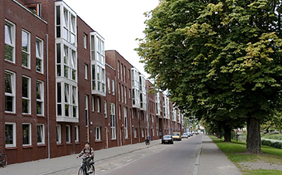 Bergsingel