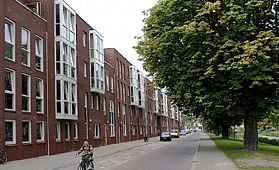 Bergsingel