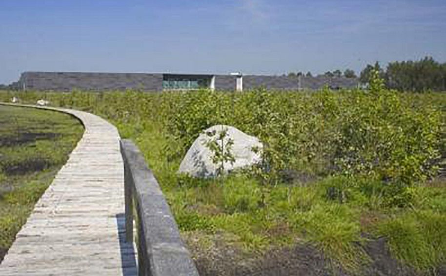 Museum Belvédere