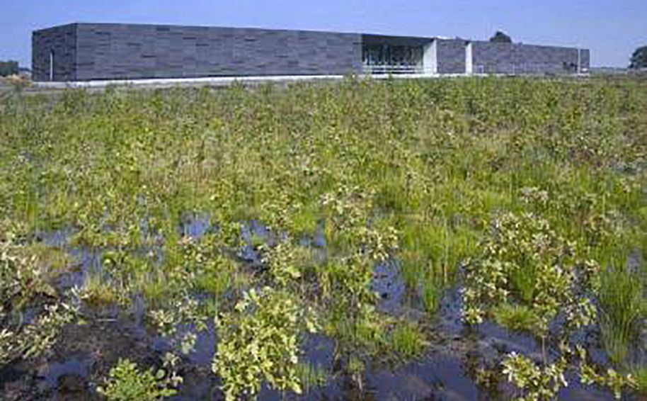 Museum Belvédere
