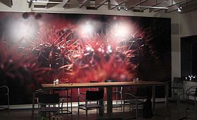 Gevel en Kantoor Ovata