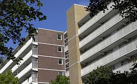 Nieuw Zernike