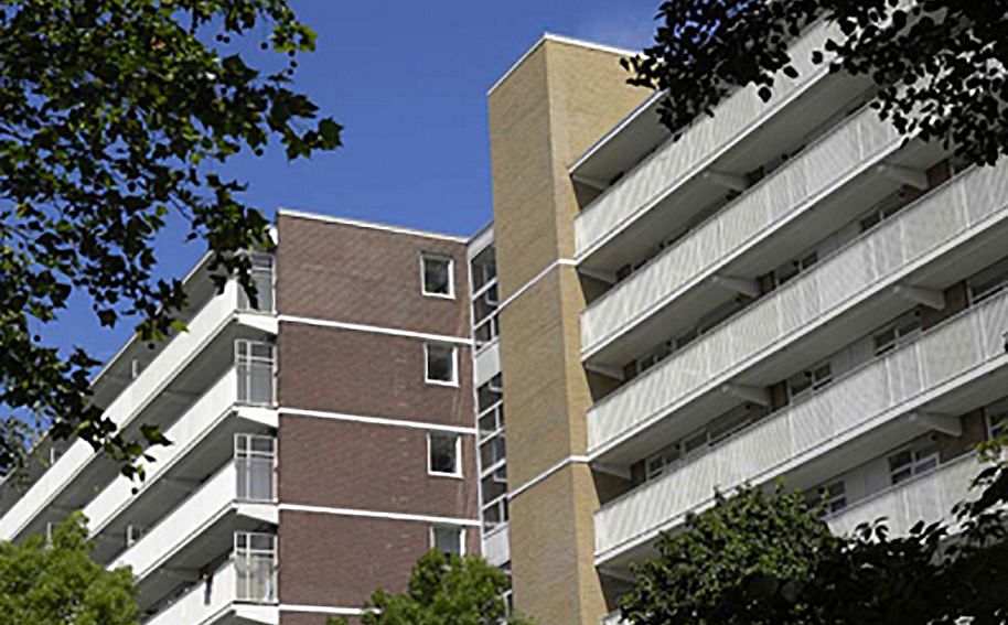 Nieuw Zernike